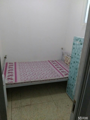 赤峰女人街開(kāi)發(fā)商電話號(hào)碼-第1張圖片