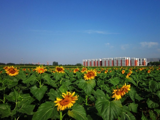 赤峰紅山區(qū)中蒙醫(yī)院電話號碼是多少號-第1張圖片