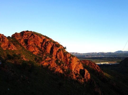 赤峰紅山魚庫電話多少號碼-第1張圖片