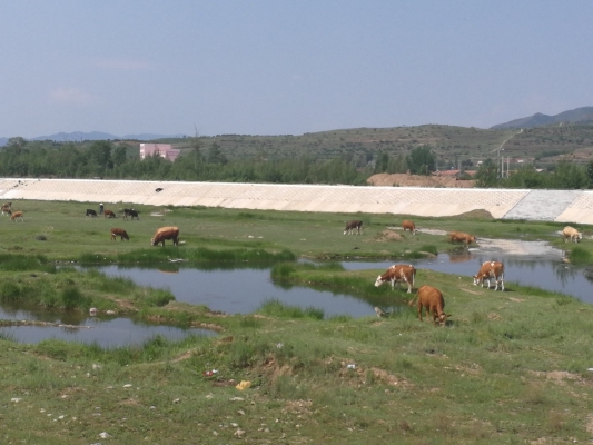 赤峰阿旗龍龍臺(tái)球廳電話地址-第1張圖片