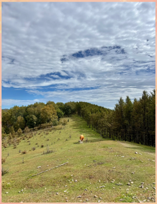 赤峰呦呦谷度假村電話地址查詢-第1張圖片