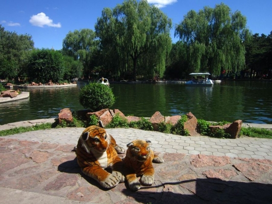 赤峰動植物園團(tuán)購電話號碼-第1張圖片