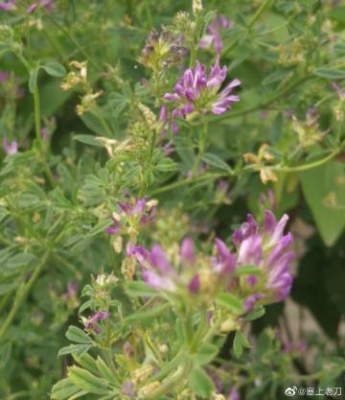 赤峰彤陽浴池怎么樣-第1張圖片