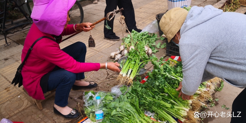 赤峰校門口小商小販電話號碼-第1張圖片