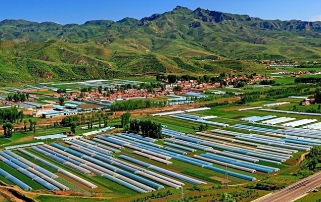 赤峰曝光熱線電話號碼查詢-第1張圖片