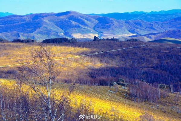 赤峰克旗政府網(wǎng)-第1張圖片