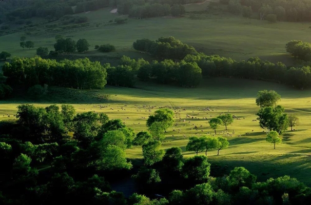 赤峰封山育林社區(qū)電話號(hào)碼是多少-第1張圖片