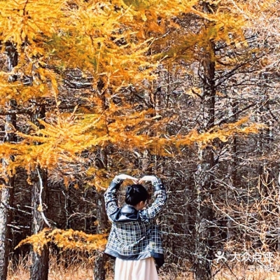 赤峰溜達牛肉店電話多少號-第1張圖片