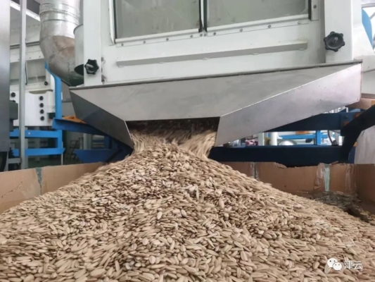 赤峰雙興瓜子加工廠電話號碼-第1張圖片