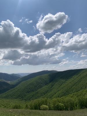 赤峰物價局的電話是多少號-第1張圖片