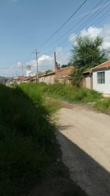 赤峰平莊農(nóng)貿(mào)市場-第1張圖片