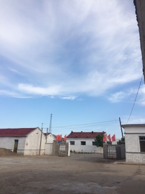 阿魯科爾沁旗白酒-第1張圖片