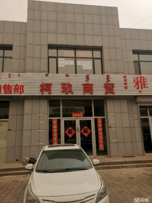 赤峰回收貓咪同城電話多少號-第1張圖片