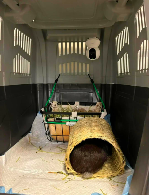 赤峰寵物航空箱廠家電話號(hào)碼-第1張圖片