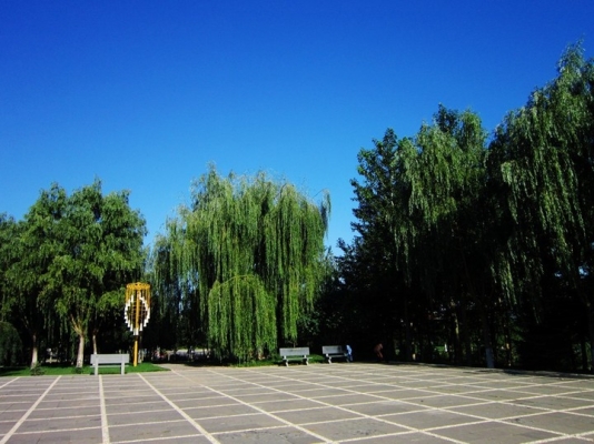 赤峰新城區(qū)靜云街道電話號(hào)碼-第1張圖片