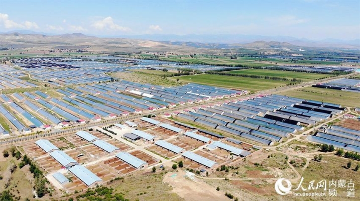 赤峰林西縣煙酒回收電話號(hào)碼-第1張圖片