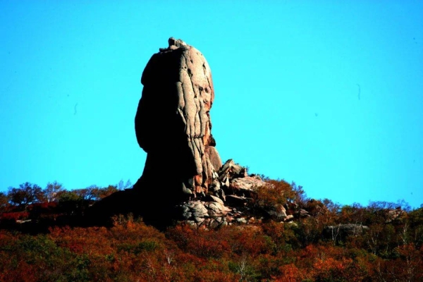 赤峰市奇森臺(tái)球館電話號(hào)碼-第1張圖片