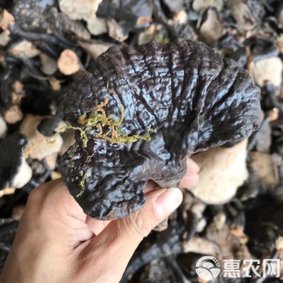 赤峰赤寶物流電話是多少號(hào)-第1張圖片