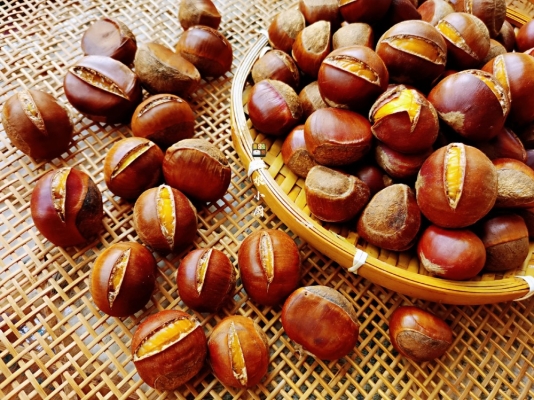 赤峰開口栗子批發(fā)電話是多少號-第1張圖片