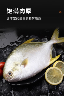 赤峰金鯧鯧魚養(yǎng)殖基地電話號碼-第1張圖片