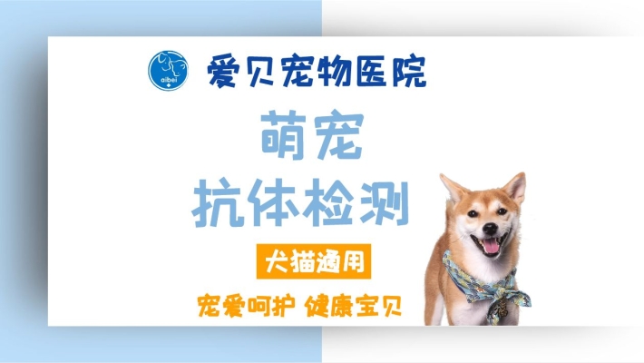 呼市赤峰寵物醫(yī)院電話多少號(hào)-第1張圖片