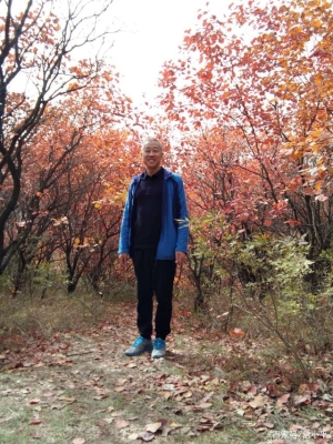 赤峰楓林花坊電話號碼查詢是多少-第1張圖片