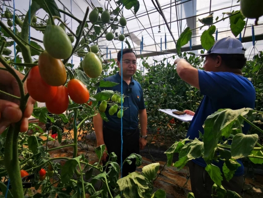 赤峰市寧成縣大棚廠電話號碼-第1張圖片