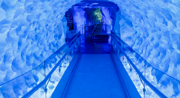 赤峰水族館門(mén)票團(tuán)購(gòu)電話號(hào)碼-第1張圖片