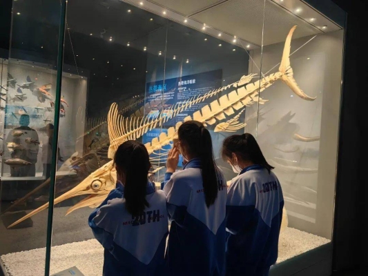 赤峰星辰海洋館電話多少號-第1張圖片