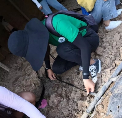 赤峰小白鼠養(yǎng)殖基地電話號碼-第1張圖片