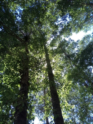 錦山到赤峰黑車(chē)電話號(hào)碼是多少-第1張圖片