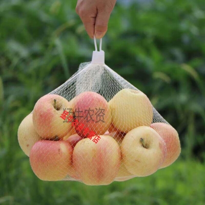 赤峰雞蛋網(wǎng)袋批發(fā)市場(chǎng)電話號(hào)碼-第1張圖片