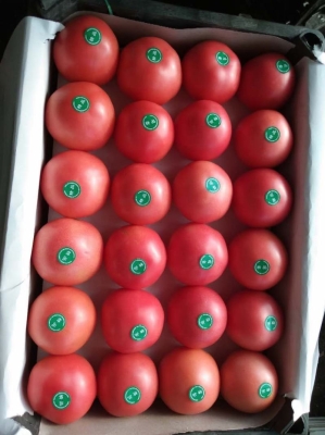 赤峰水果交易中心電話號(hào)碼查詢-第1張圖片