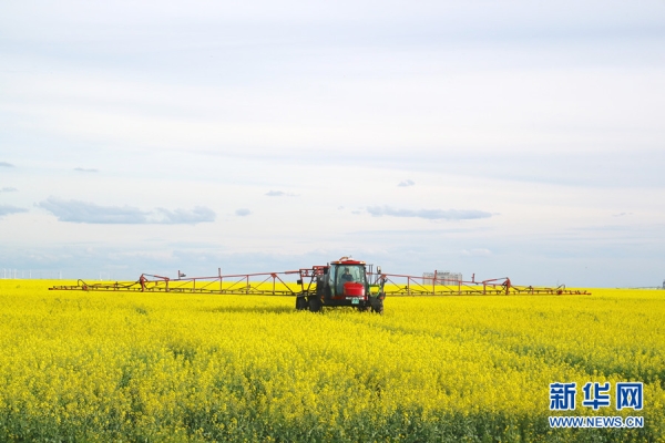 赤峰捆草機(jī)公司地址電話號(hào)碼-第1張圖片