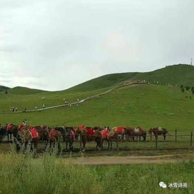 赤峰雙雅社區(qū)電話多少號碼-第1張圖片