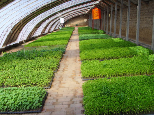 赤峰寧城排水管廠家電話號碼-第1張圖片