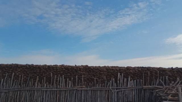 赤峰麥萌童裝店地址電話號(hào)碼-第1張圖片