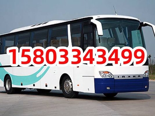 齊市到赤峰大巴車電話號(hào)碼-第1張圖片