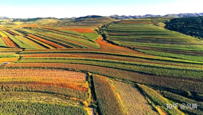 赤峰收曲麻菜電話號(hào)碼多少-第1張圖片