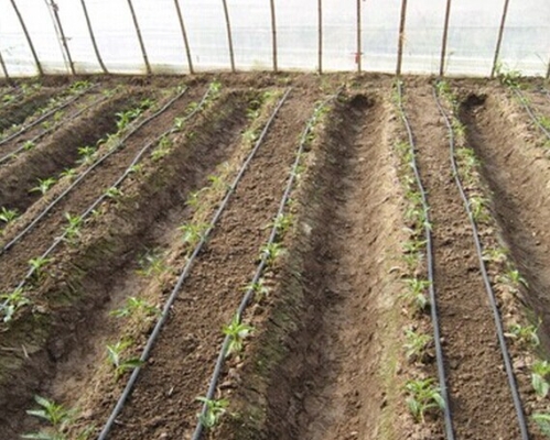 赤峰滴灌帶銷售商電話號碼-第1張圖片