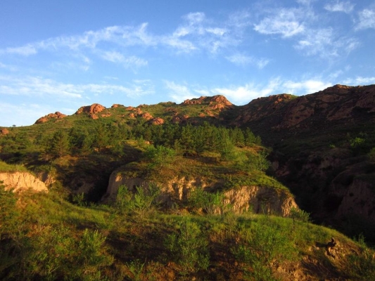 赤峰紅山區(qū)拘留所電話號碼-第1張圖片