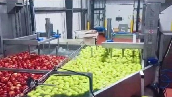 赤峰超然果蔬加工廠電話號碼-第1張圖片