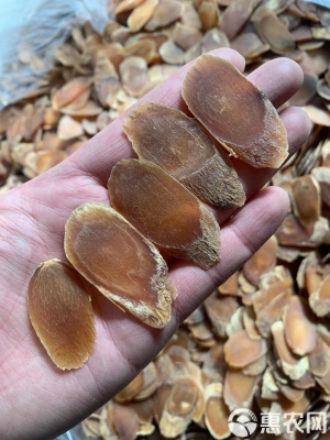 赤峰人參片批發(fā)商家電話號(hào)碼-第1張圖片