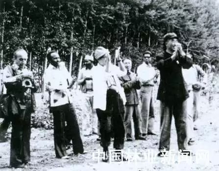 赤峰松山區(qū)供電局客服電話-第1張圖片