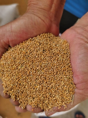 赤峰賣麩皮的地方電話號碼是多少-第1張圖片