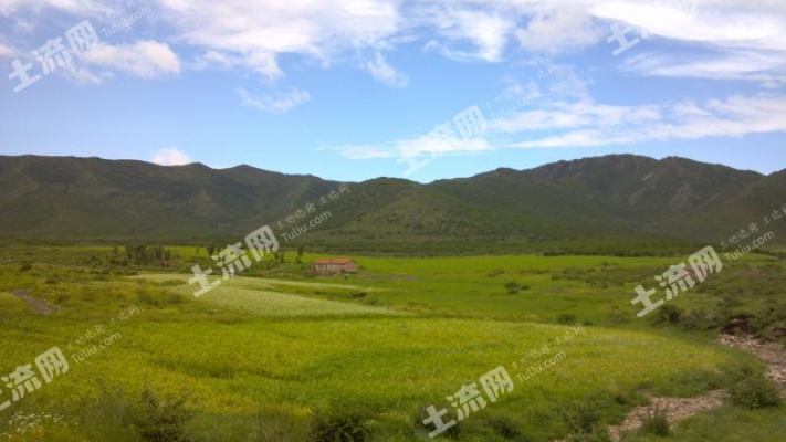 赤峰收購(gòu)林地電話(huà)號(hào)碼查詢(xún)是多少-第1張圖片