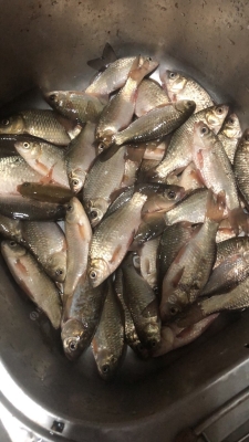 赤峰水泉老丁垂釣基地電話號碼-第1張圖片