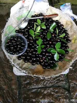 赤峰市酒鬼酒廠地址電話號碼-第1張圖片