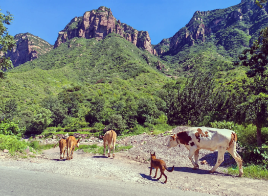 赤峰錦山拆車廠電話多少號-第1張圖片