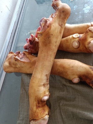 赤峰市修牛蹄的地方電話號碼-第1張圖片